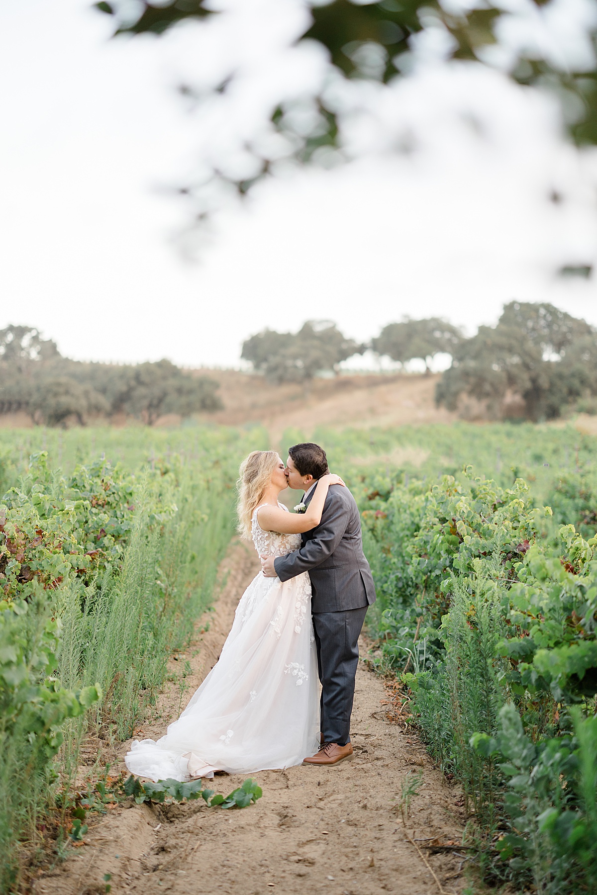bride and groom kiss in romantic california vineyard after ceremony shot by destination wedding photographer