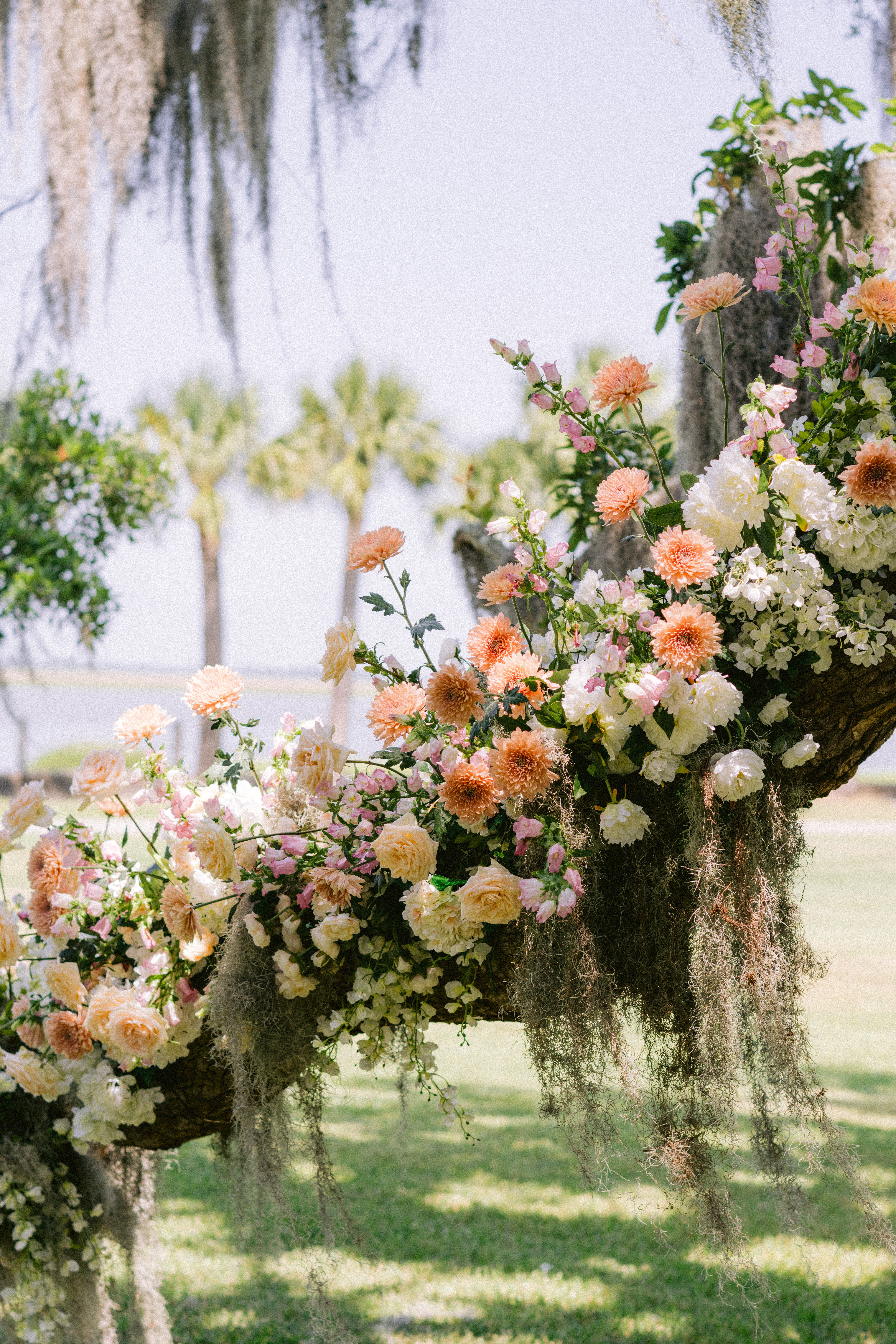 Jekyll Island Club Resort wedding ceremony flowers on oak tree branch